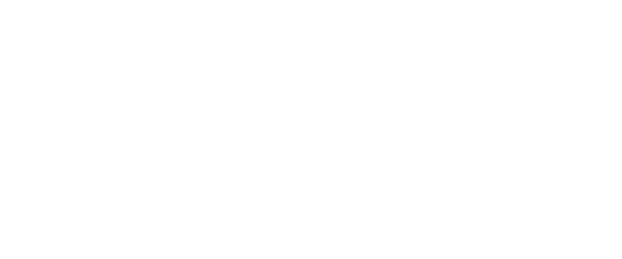 NAFASS Logo